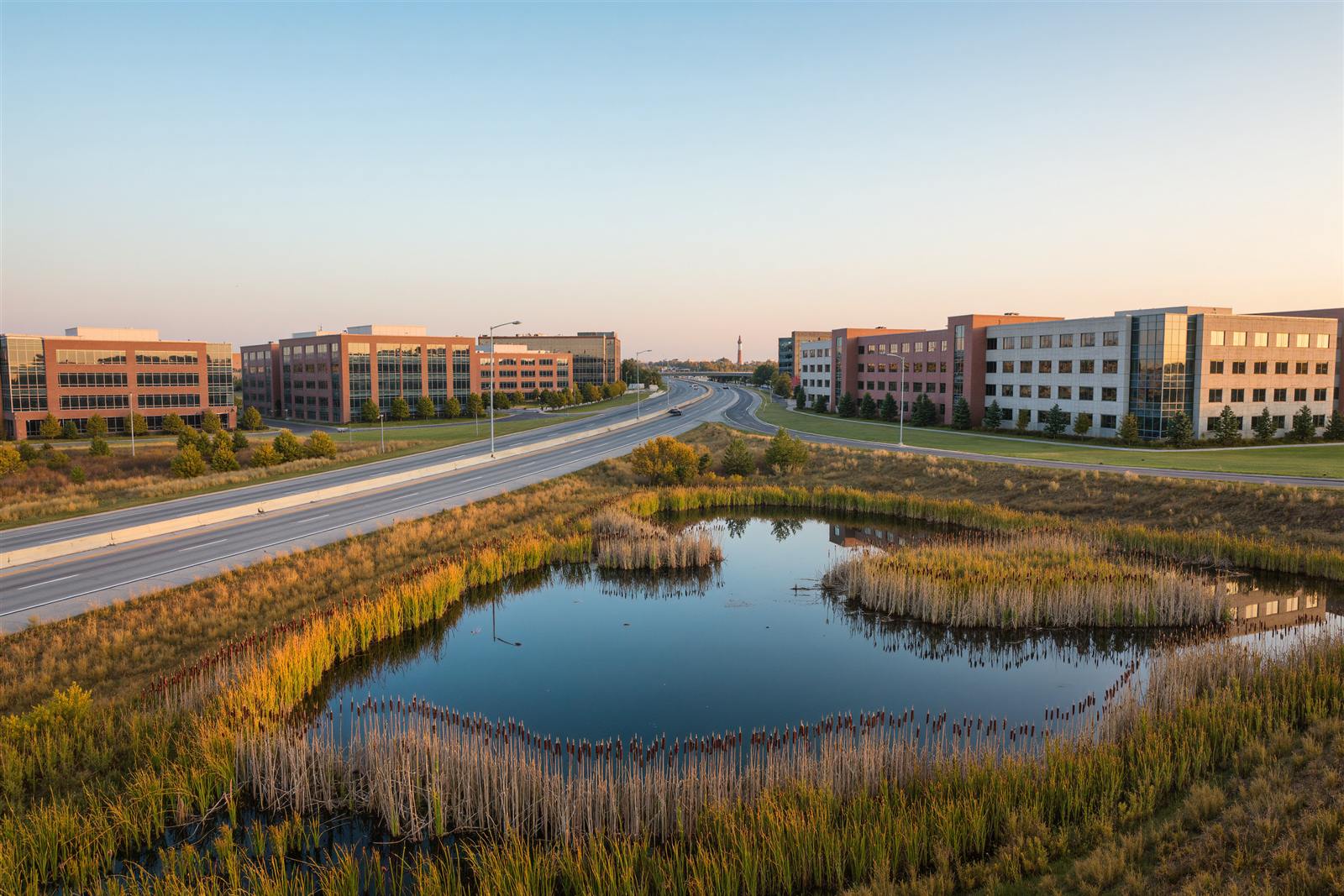 A suburban highway with brick office buildings beyond a pond edged with cattails and prairie grass